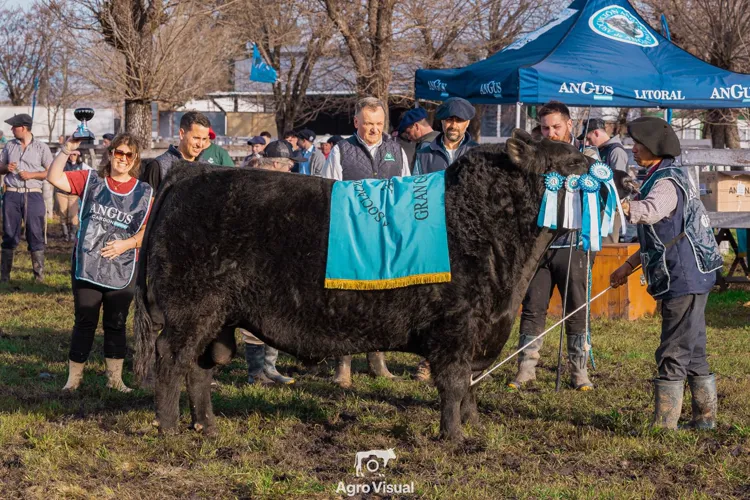 Foto de la publicación